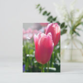 Rosa Tulpen Postkarte (Stehend Vorderseite)