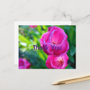 Rosa Tulpen Postkarte