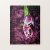 Rosa Tulpen Puzzle (Vertikal)