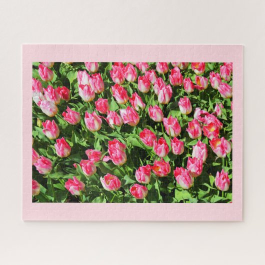 Rosa Tulpen Puzzle (Horizontal)