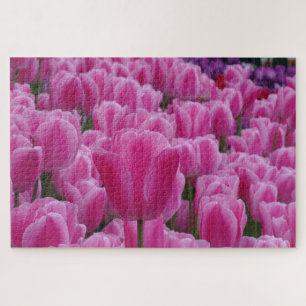 Rosa Tulpen-Puzzle Puzzle