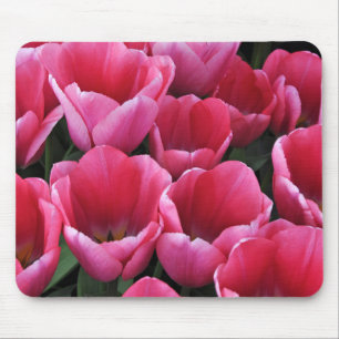 Rosa Tulpen Schönheit Mousepad