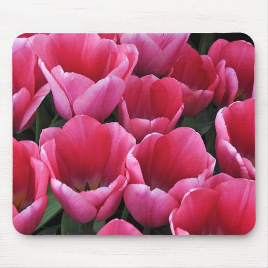 Rosa Tulpen Schönheit Mousepad (Vorne)