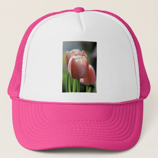 Rosa Tulpen Truckerkappe (Vorderseite)