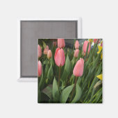 Rosa Tulpenfotografie - Blume Magnet (Vorderseite/Rückseite)