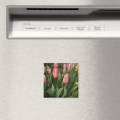 Rosa Tulpenfotografie - Blume Magnet (In Situ (Geschirrspüler))