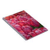 Rosa Tulpenotizbuch Notizblock (Rechte Seite)