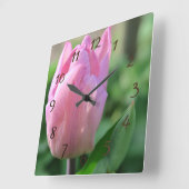 Rosa Tulpis Blume Frühlingsblüte Quadratische Wanduhr (Winkel)