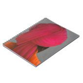 Rosa Turban Notizblock (Linke Seite)