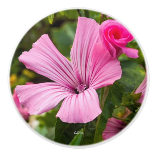 rosa Türgriff Blume Keramikknauf (Vorderseite)