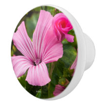 rosa Türgriff Blume