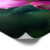 Rosa Turtlehead-Blume Nah Poster (Ecke)