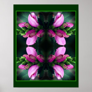 Rosa Turtlehead Blume Nah Up Mirror Abstrakt Poster