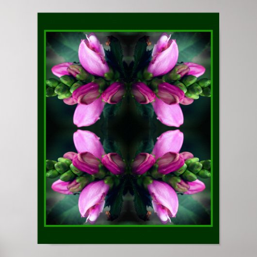 Rosa Turtlehead Blume Nah Up Mirror Abstrakt Poster (Vorne)