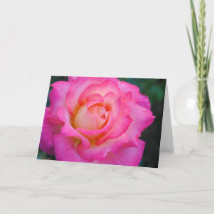 Rosa u. gelbe Rosen-Gruß-Karte Karte