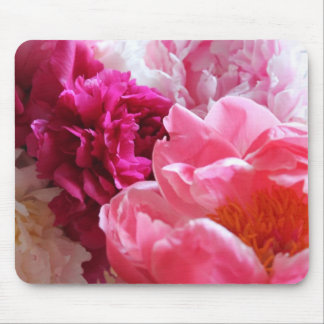 Rosa u. weiße Pfingstrosen in der Blüte - Mousepad