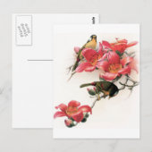 Rosa Überfluss Postkarte (Vorne/Hinten)