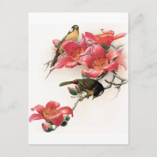 Rosa Überfluss Postkarte