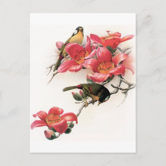 Rosa Überfluss Postkarte (Vorderseite)