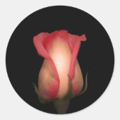 Rosa Umschlag Aufkleber (Vorderseite)