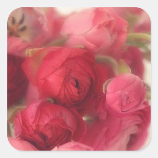 Rosa Umschlag Aufkleber und Aufkleber (Vorderseite)