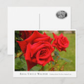 Rosa Uncle Walter Postkarte (Vorne/Hinten)