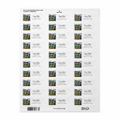 Rosa und Aquamarine Graffiti Kunst | Abandred Hous (Vorne)