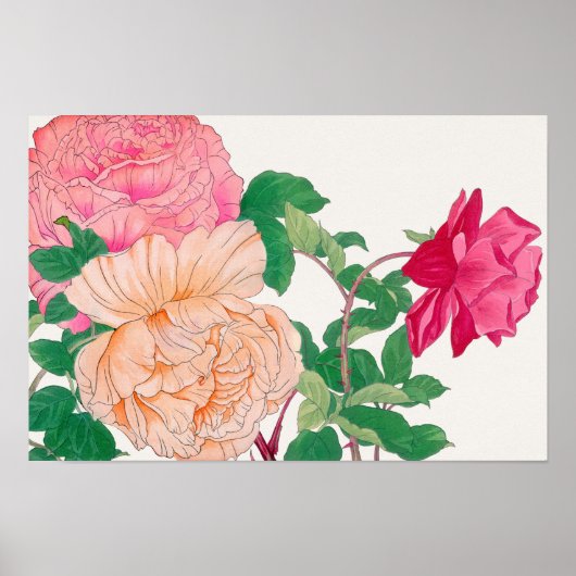 Rosa und blassorange Rose Blume Poster (Vorne)