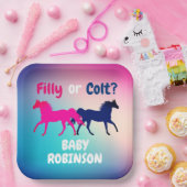 Rosa und blaue Filly oder Farbgenderdarstellung Pappteller (Party)