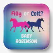 Rosa und blaue Filly oder Farbgenderdarstellung Pappteller (Vorderseite)