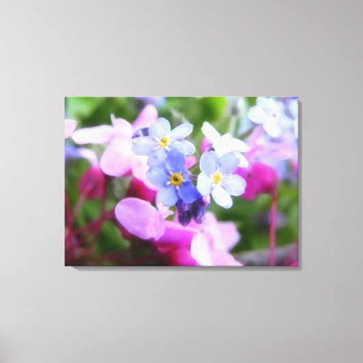 Rosa und blaue Frühlingsblumen Leinwanddruck (Vorderseite)