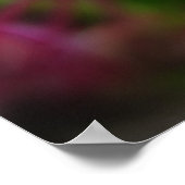 Rosa und blaue Frühlingsblumen Poster (Ecke)