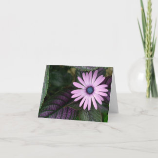 Rosa und blaue Karte