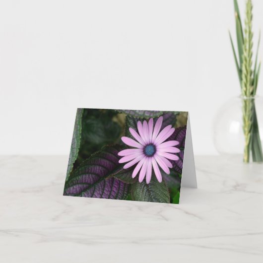 Rosa und blaue Karte (Vorderseite)