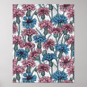 Rosa und blaue Maisblumen, weiße Blume Poster