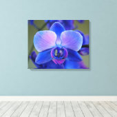 Rosa und blaue Orchideen Leinwanddruck (Insitu (Holzboden))