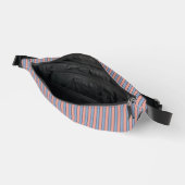 Rosa und blaue Streifen Bauchtasche (Offen)