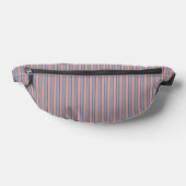 Rosa und blaue Streifen Bauchtasche (Ablage )