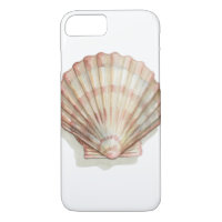 Rosa und Creme Seashell