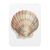 Rosa und Creme Seashell Magnet (Vertikal)