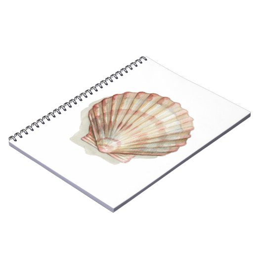 Rosa und Creme Seashell Notizblock (Linke Seite)