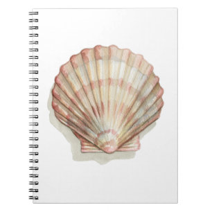 Rosa und Creme Seashell Notizblock