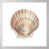 Rosa und Creme Seashell Poster (Vorne)