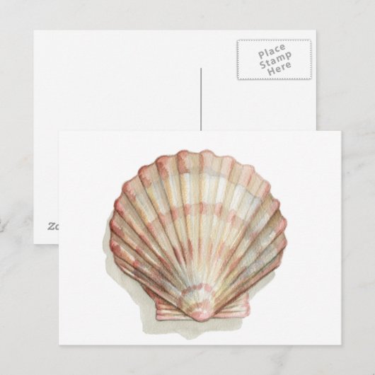 Rosa und Creme Seashell Postkarte (Vorne/Hinten)