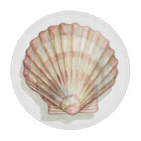 Rosa und Creme Seashell
