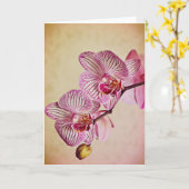 Rosa und cremefarbene Orchideen Karte (Gelbe Blume)