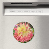Rosa und Gelb-Dahlia-Magnet Magnet (In Situ (Geschirrspüler))