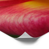 Rosa und Gelb Rose Fotografisch Poster (Ecke)