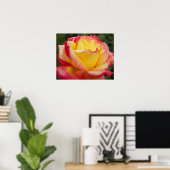Rosa und Gelb Rose Fotografisch Poster (Heimbüro)