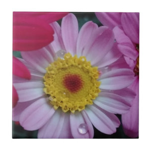 Rosa und gelbe Blume Fliese